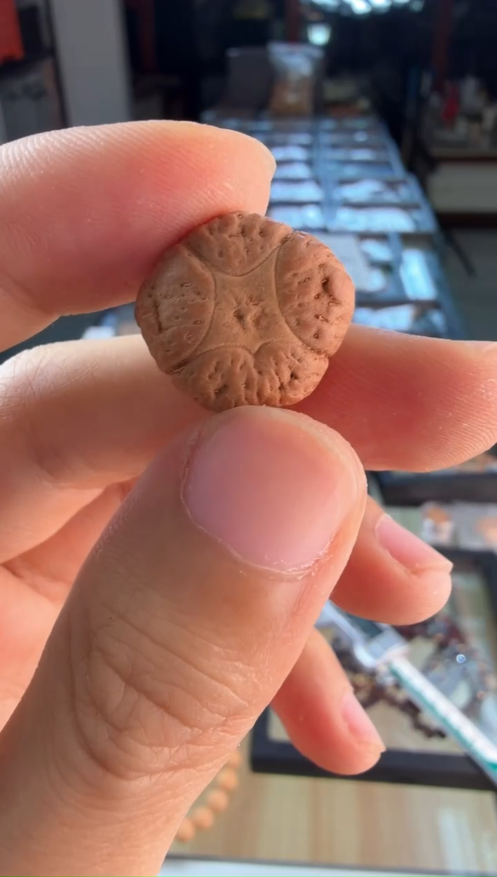 手串凤眼菩提4641一物一图  三通 19mm