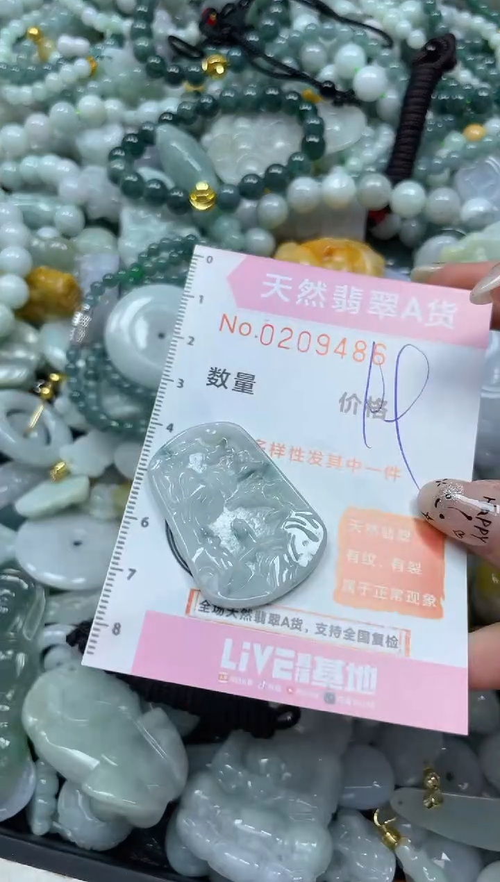 翡翠未镶嵌颈饰闪购0209486