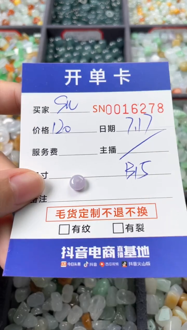 翡翠未镶嵌颈饰S*z00016278