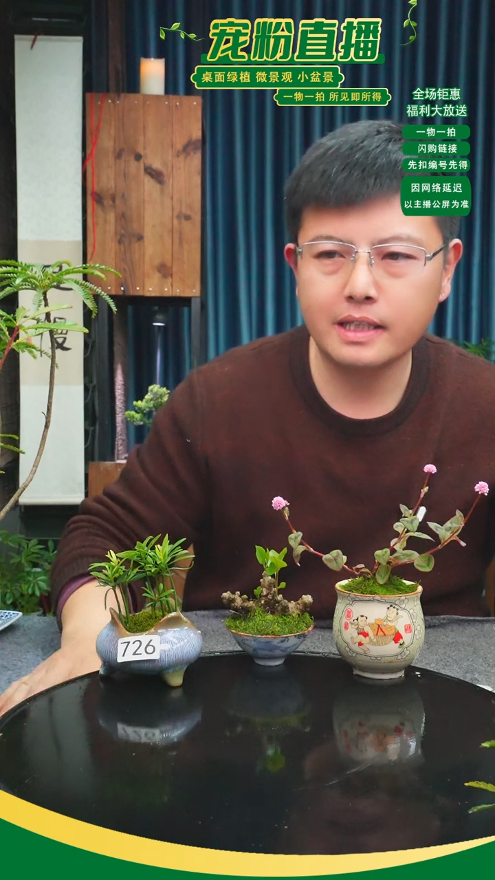 无花朵芸*苔藓微景观726号