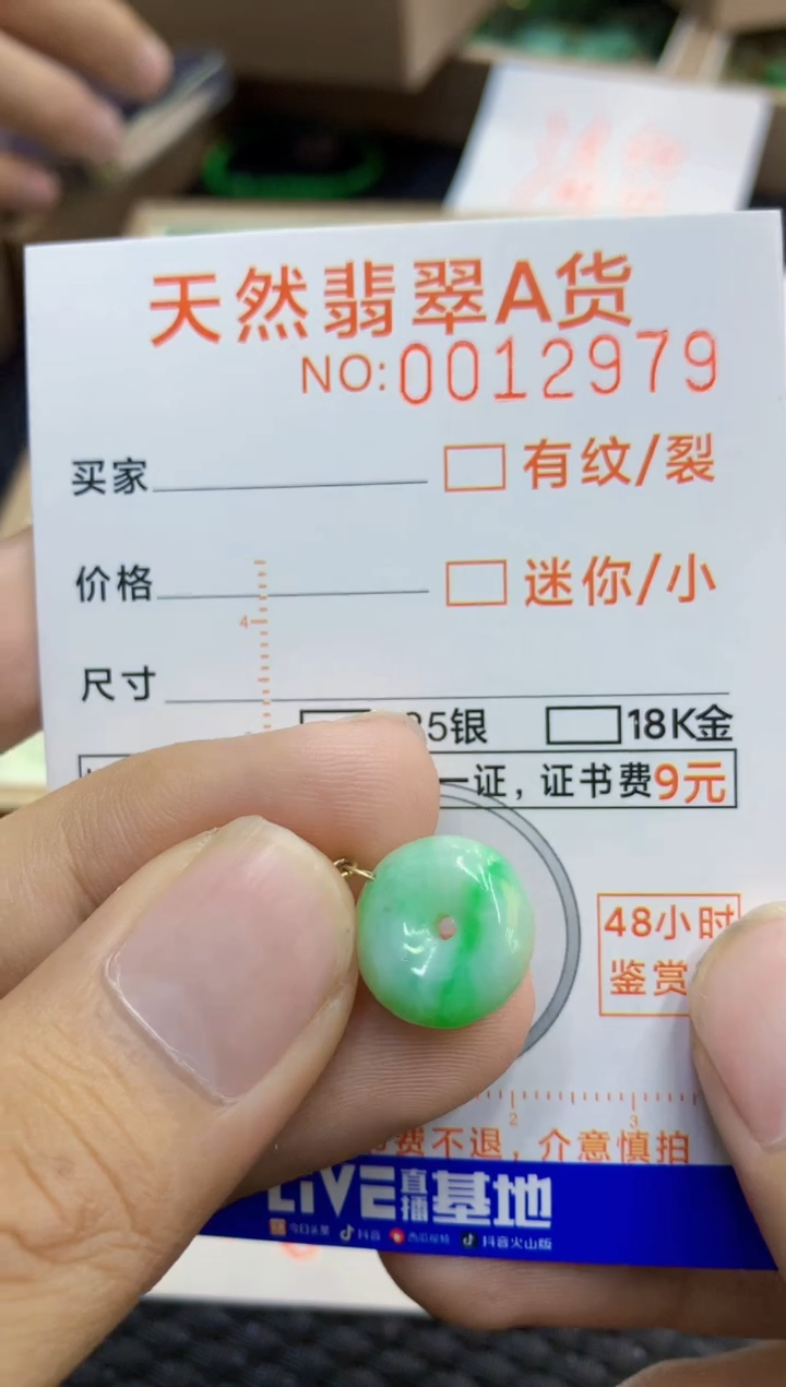 翡翠未镶嵌吊坠(不含链)1