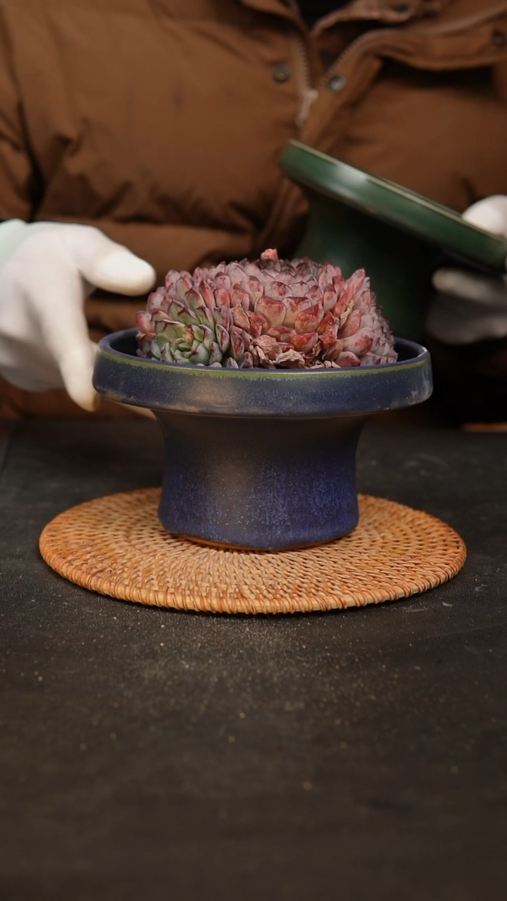 【闪购商品】瓷片泥泥多肉花盆