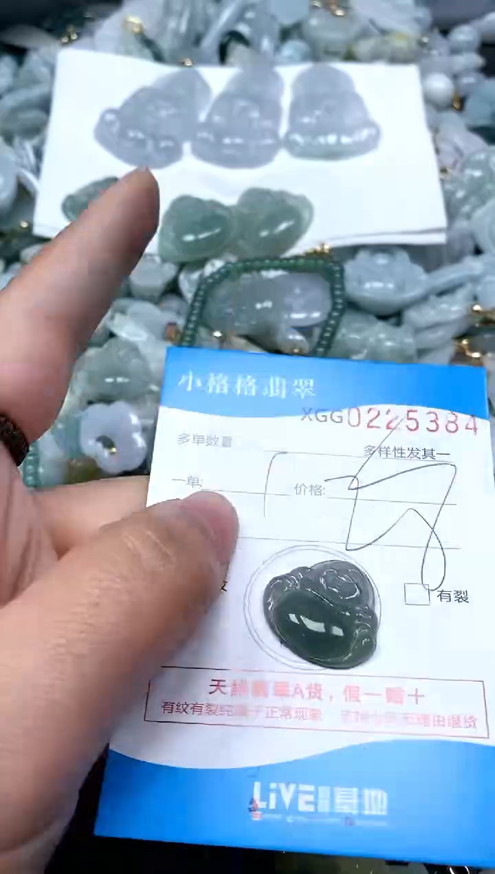 【闪购商品】翡翠颈饰未镶嵌闪购商品0225384