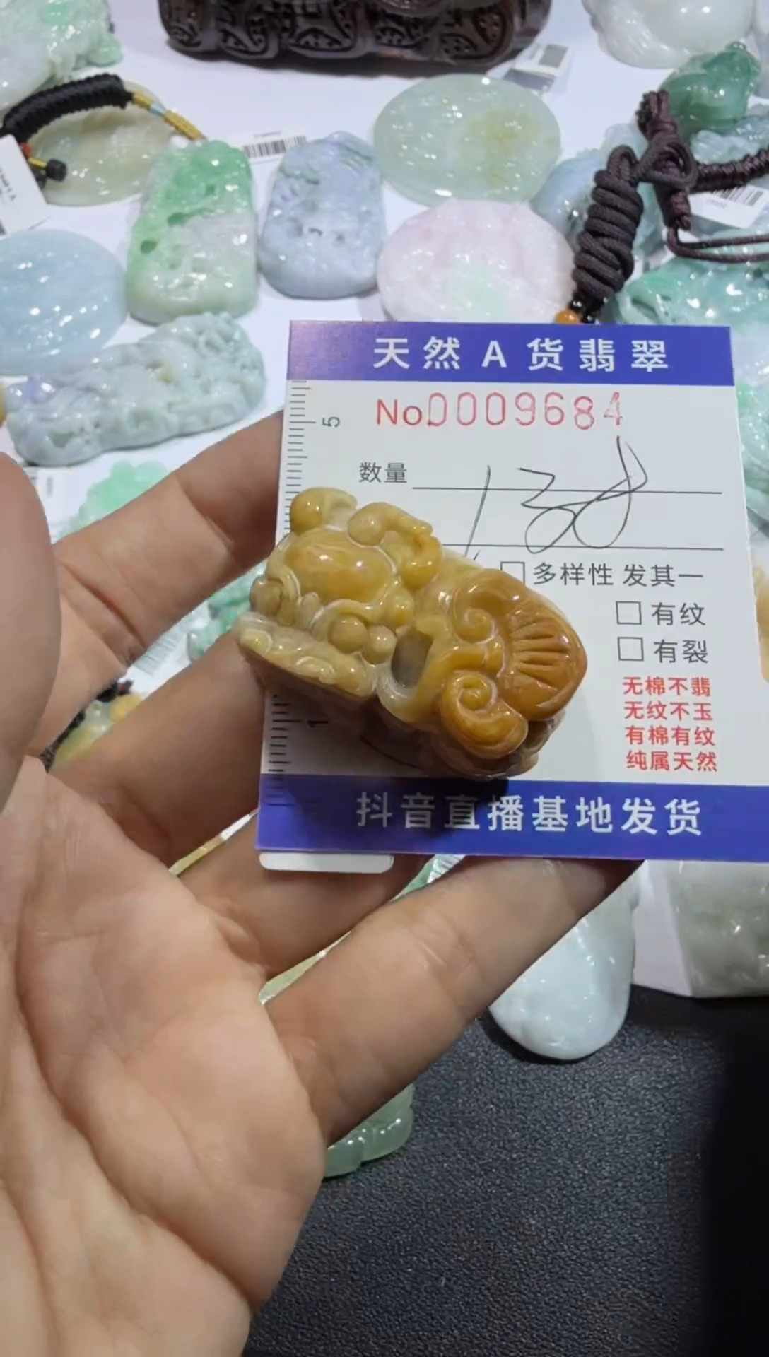 【闪购商品】翡翠颈饰未镶嵌00009684