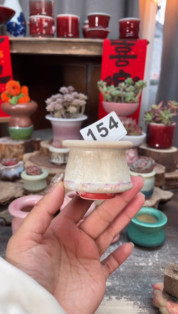 【闪购商品】摆件154知木小芳花盆