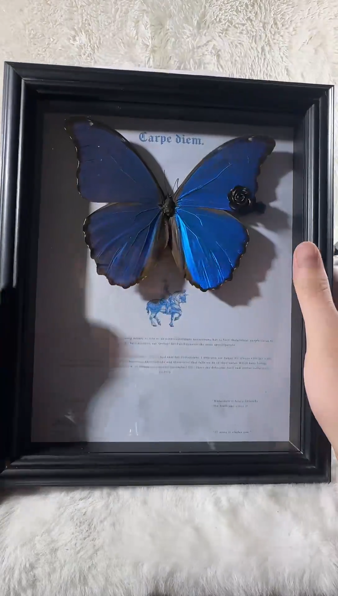 木大蓝闪蝶相框   