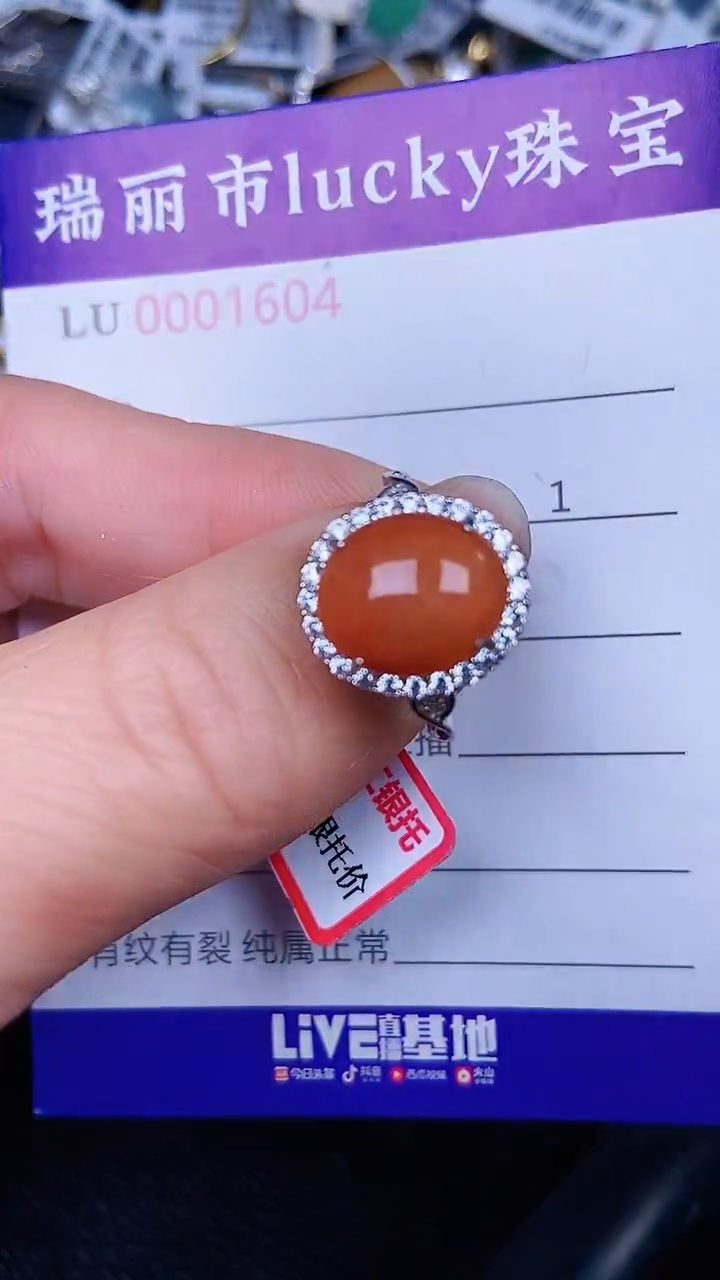 颈饰银S925镶嵌翡翠1604