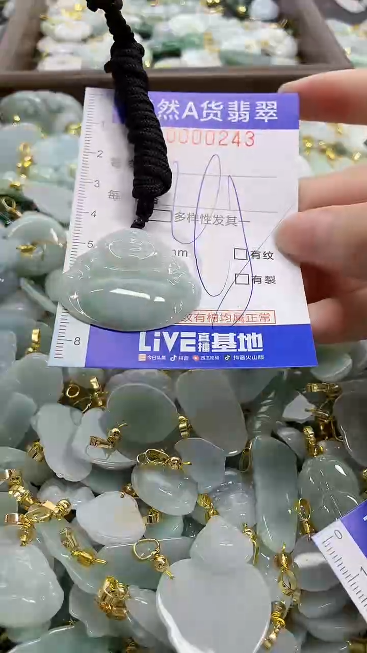 颈饰未镶嵌翡翠天然A货翡翠