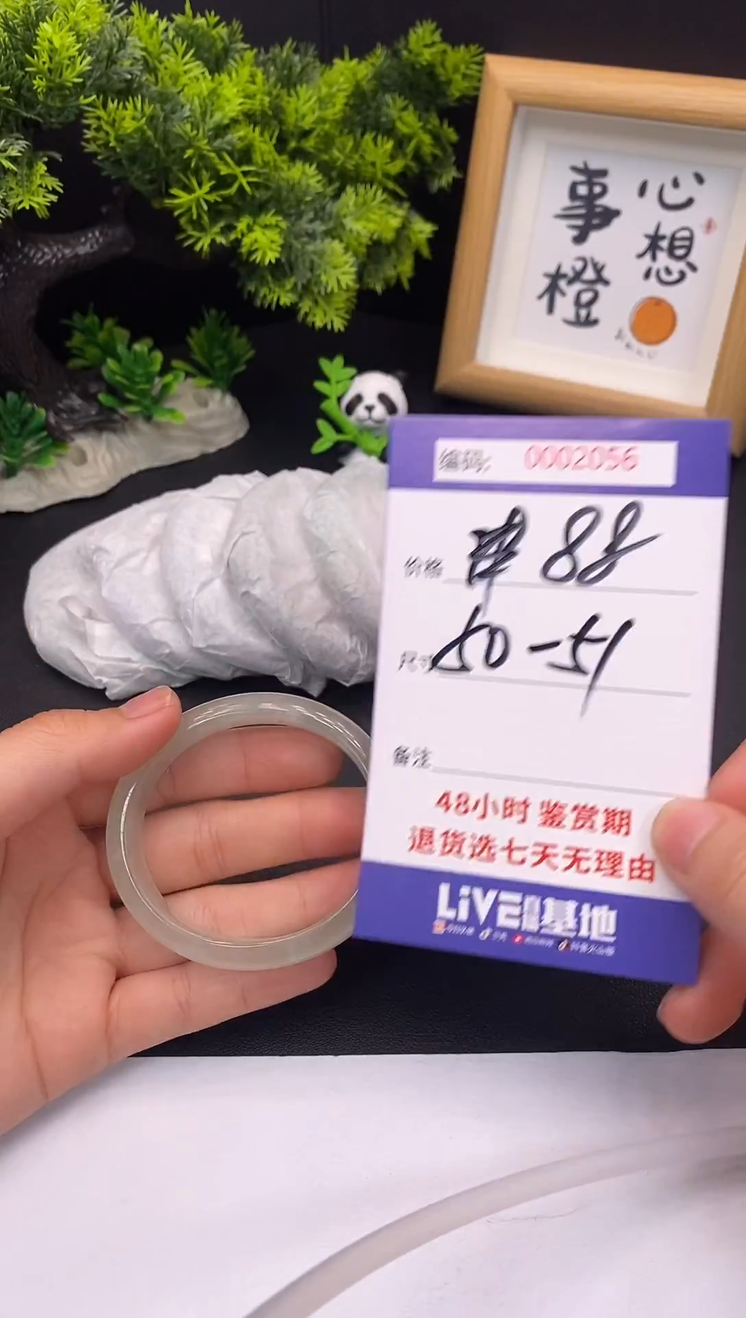 未镶嵌手镯翡翠0002056