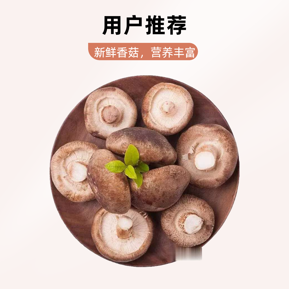 新鲜香菇6个 约120g菌类
