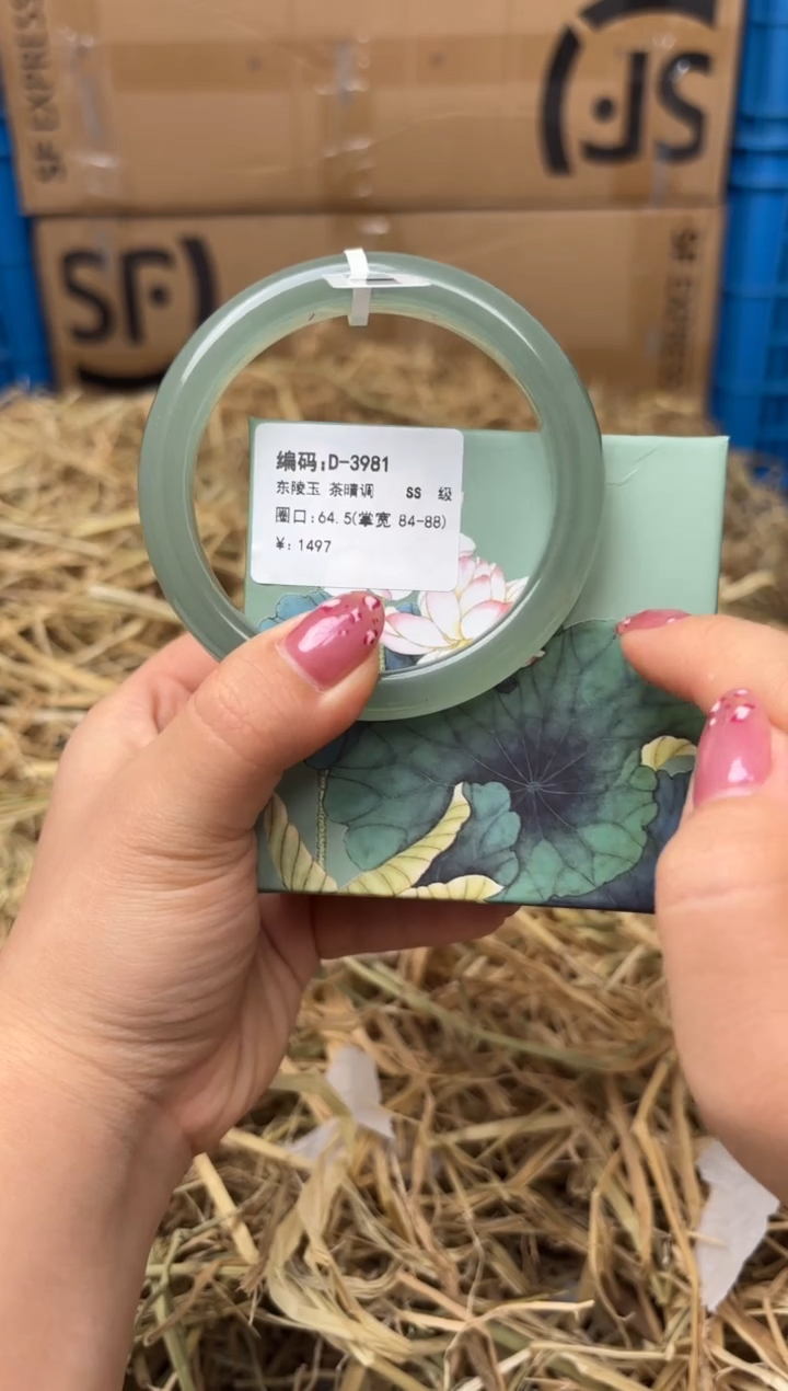 未镶嵌手镯石英质玉D-3981