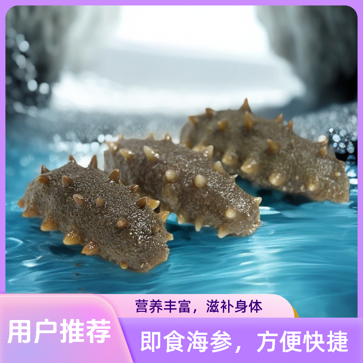 锦盛铭洋【促销款】大连即食海参8-12头500g刺少肉厚营养美味