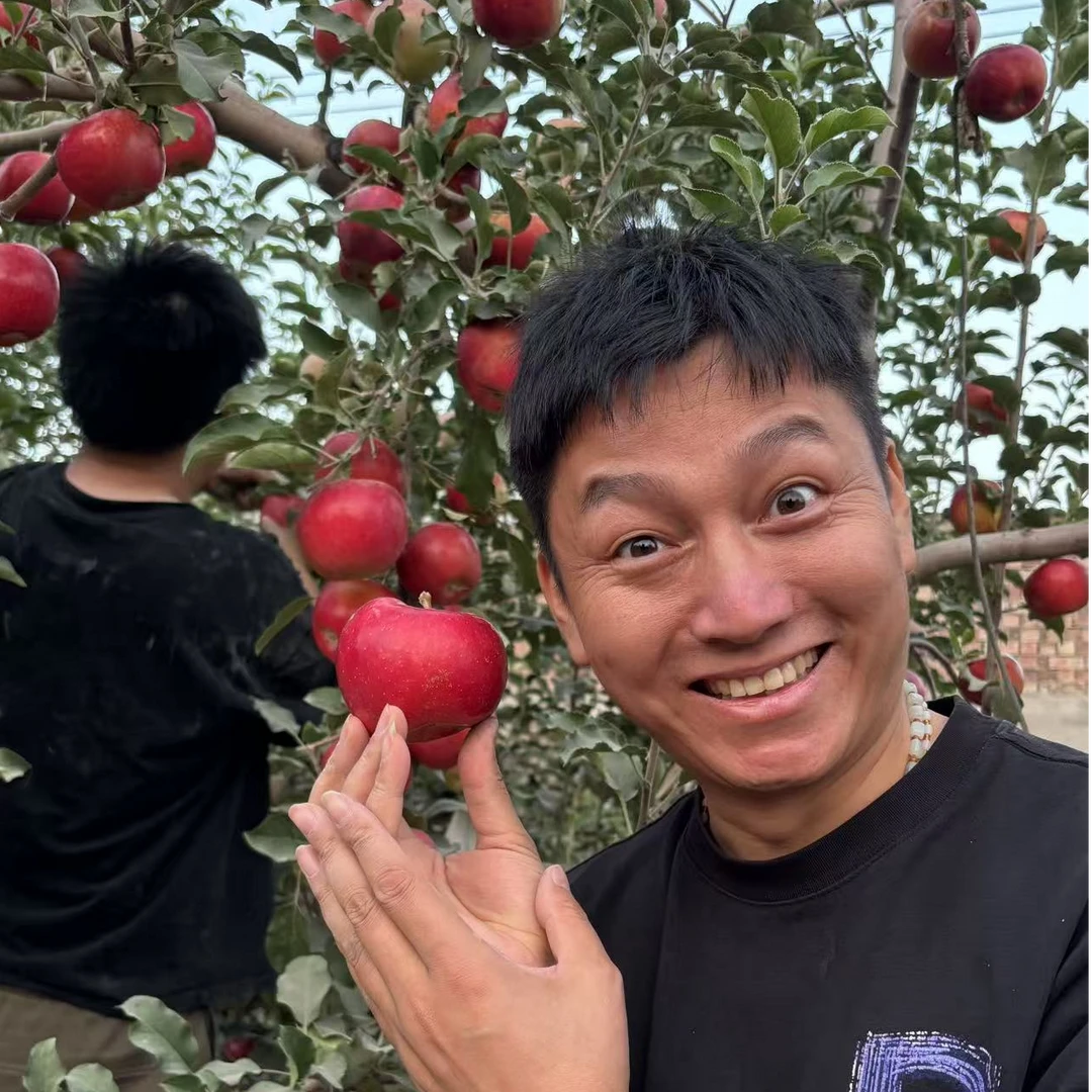 【新疆克莱因红苹果】产地直发新鲜采摘孕妇水果爆甜多汁口感细腻