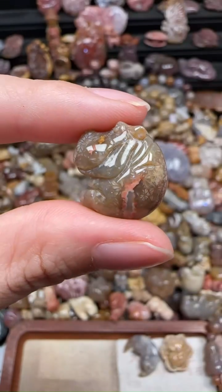 颈饰未镶嵌硅化珊瑚（珊瑚玉）133