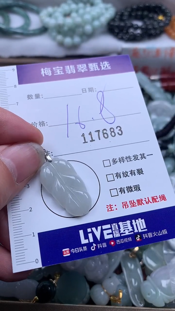 颈饰未镶嵌翡翠1