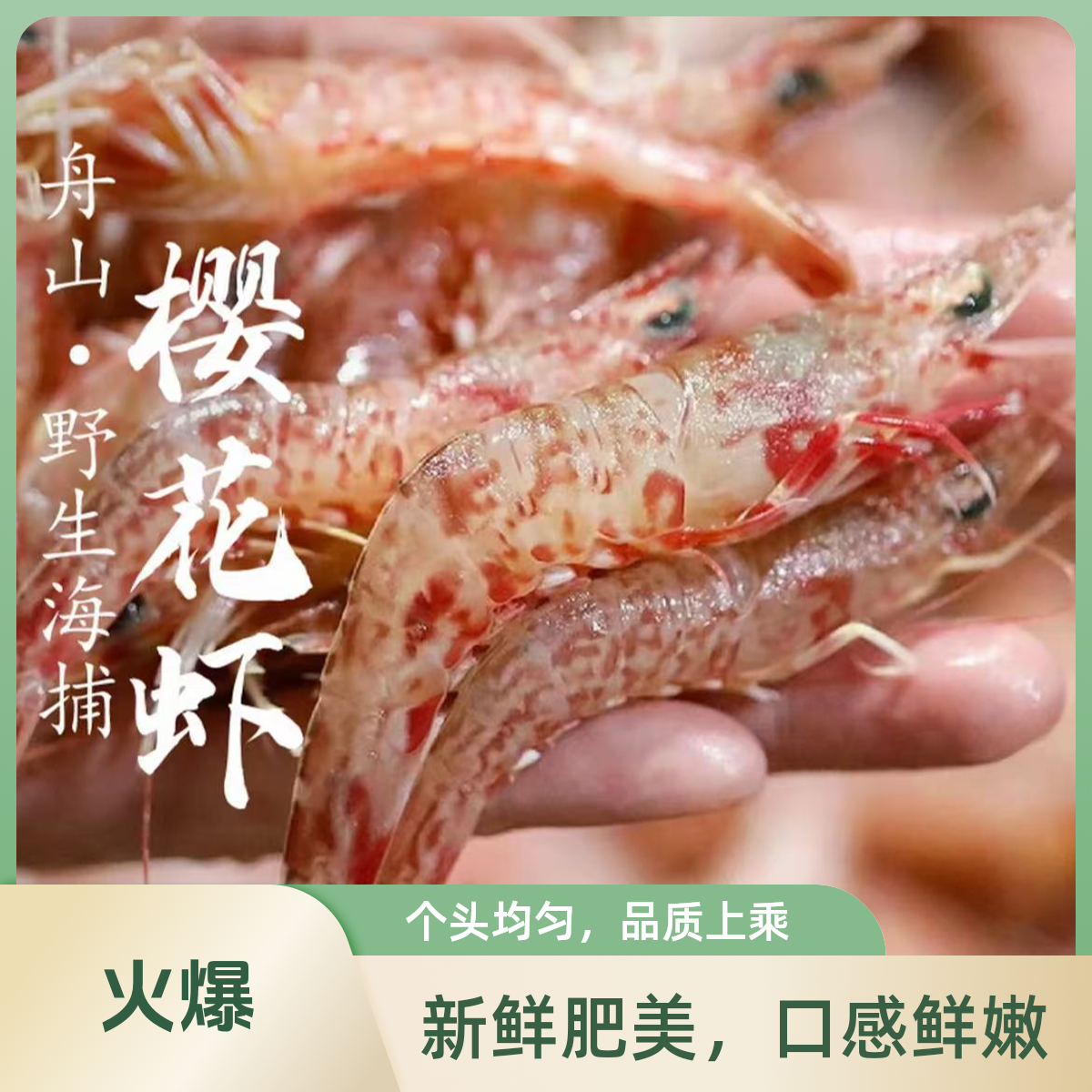 舟山野生樱花虾海捕深海火焰虾 可生腌刺身 3斤野生船冻樱花虾
