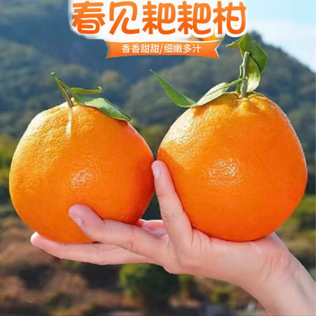 【四川原产地直发】新鲜应季水果自然熟粑粑柑橘爆汁多汁果园直发