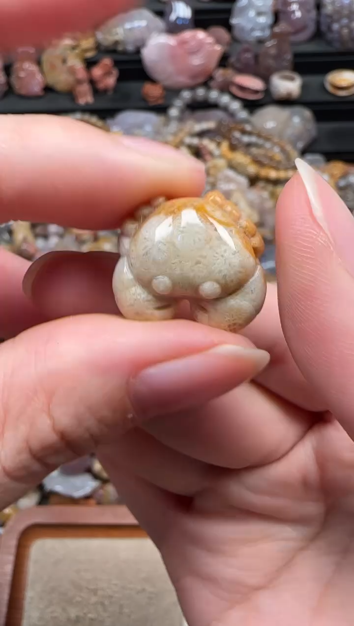颈饰未镶嵌硅化珊瑚（珊瑚玉）019
