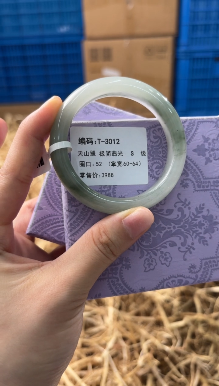 未镶嵌手镯石英质玉T-3012