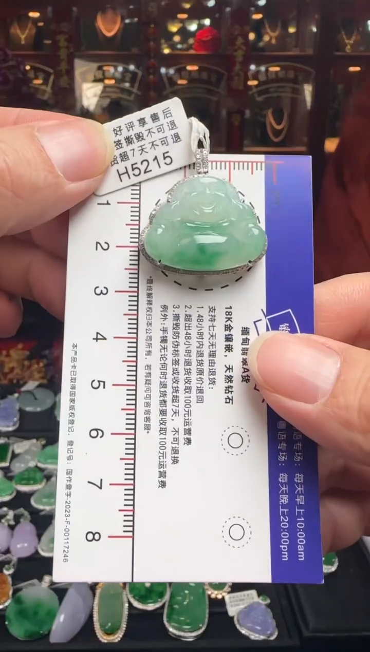 【闪购商品】翡翠颈饰18K金镶嵌H5215 冰飘绿佛公