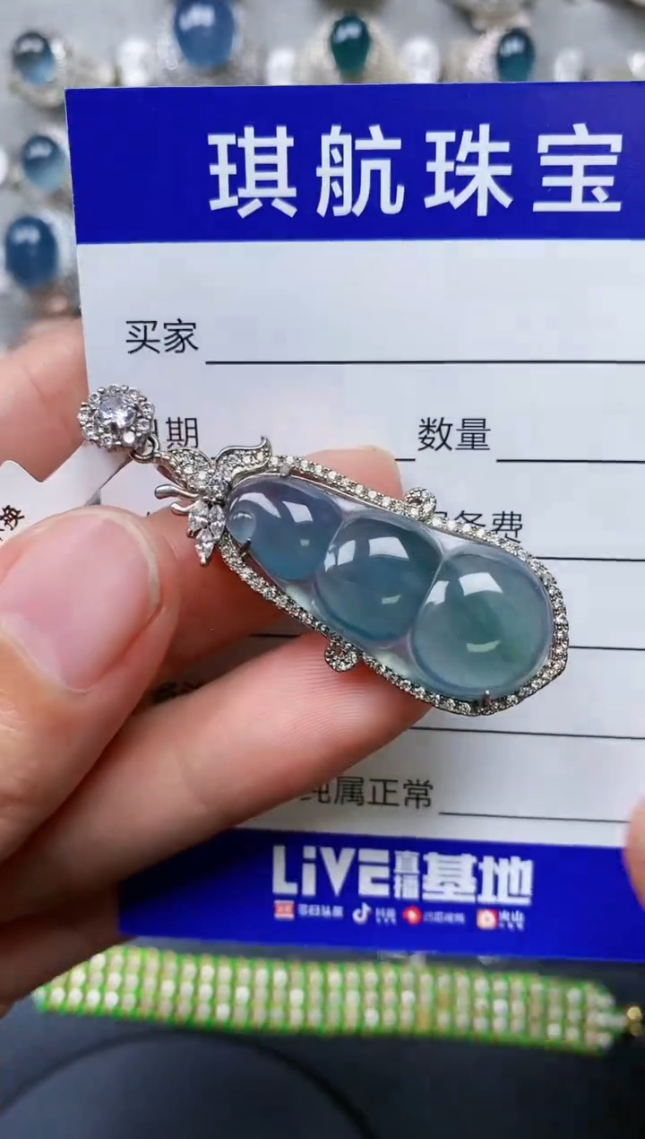 【闪购商品】翡翠颈饰银S925镶嵌0266