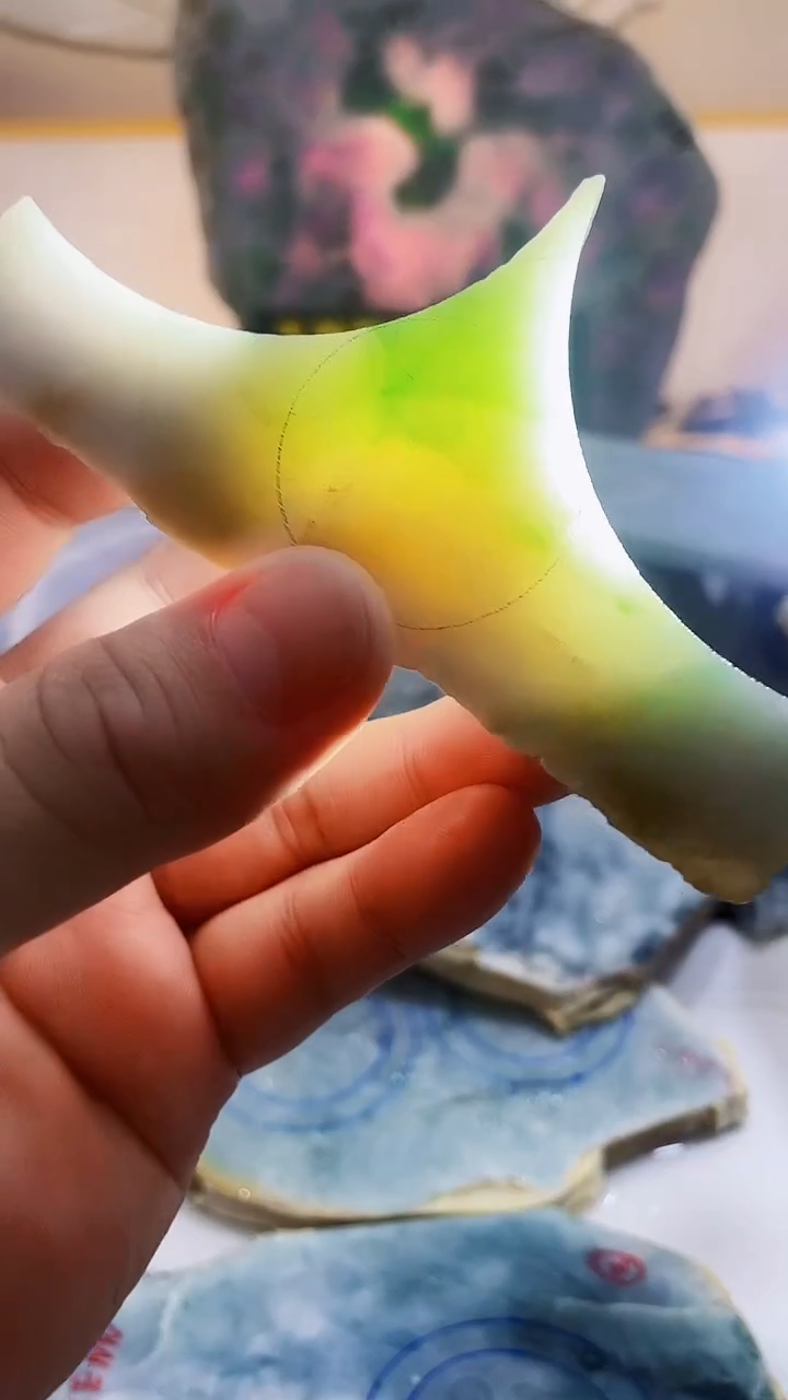 翡翠未镶嵌颈饰0林0翡翠珠宝505