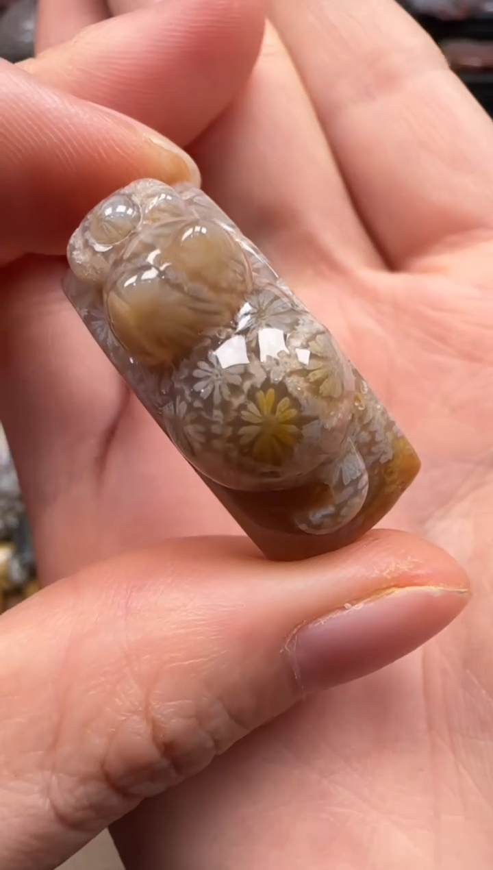 【闪购商品】硅化珊瑚（珊瑚玉）颈饰未镶嵌284