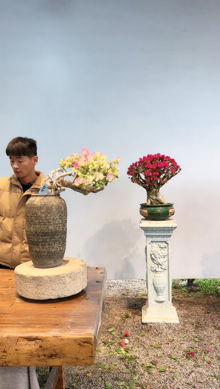 【闪购商品】aa933