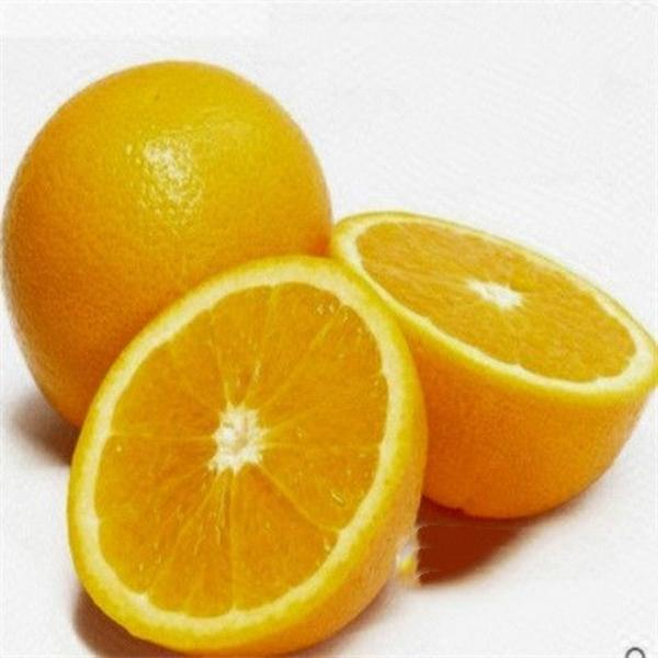 新鲜果冻橙5元/个