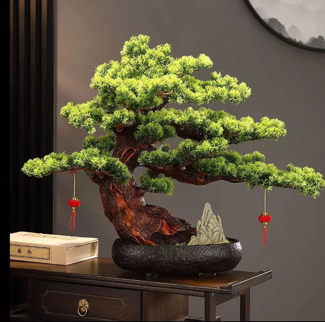盆景迎客松造型盆栽松树地柏苗耐寒公室内四季常青