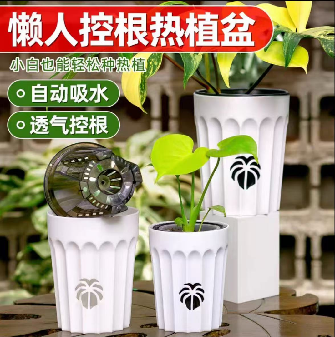 花烛热植蝴蝶兰懒人吸水盆水培侧面透气套盆加高加厚高档透气
