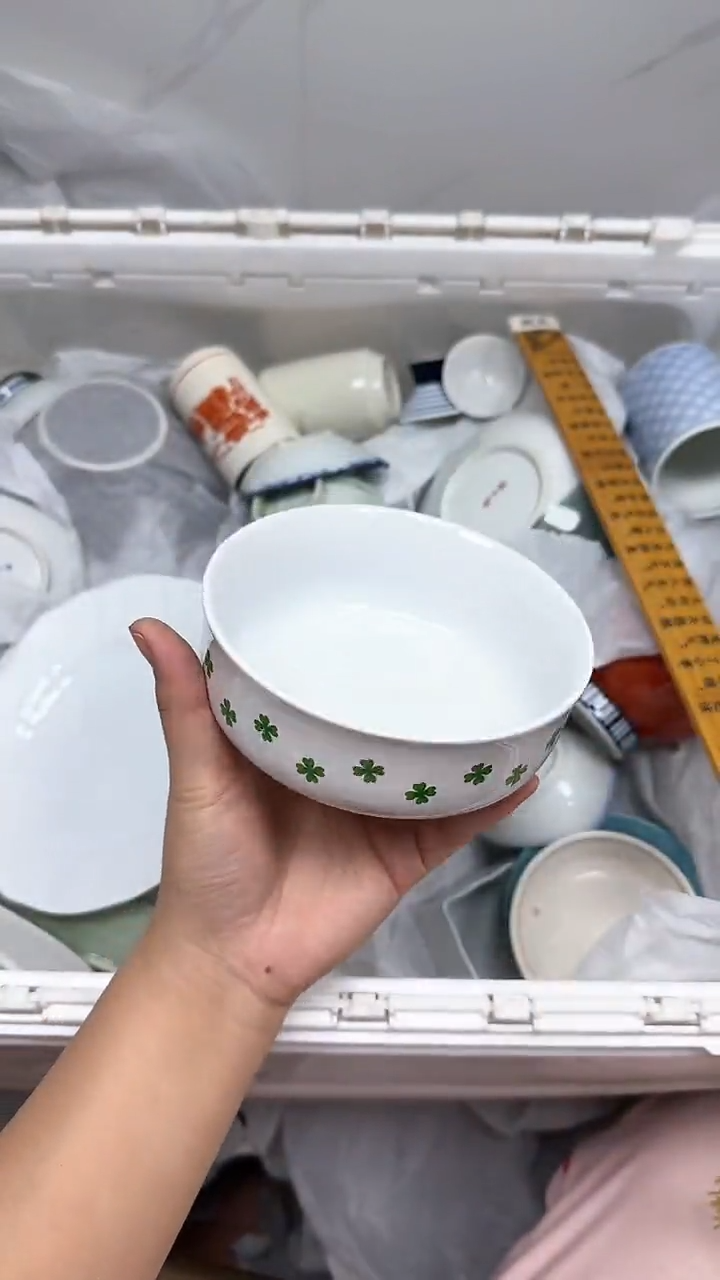 【闪购商品】486回流瓷器默认微瑕，18.8包邮