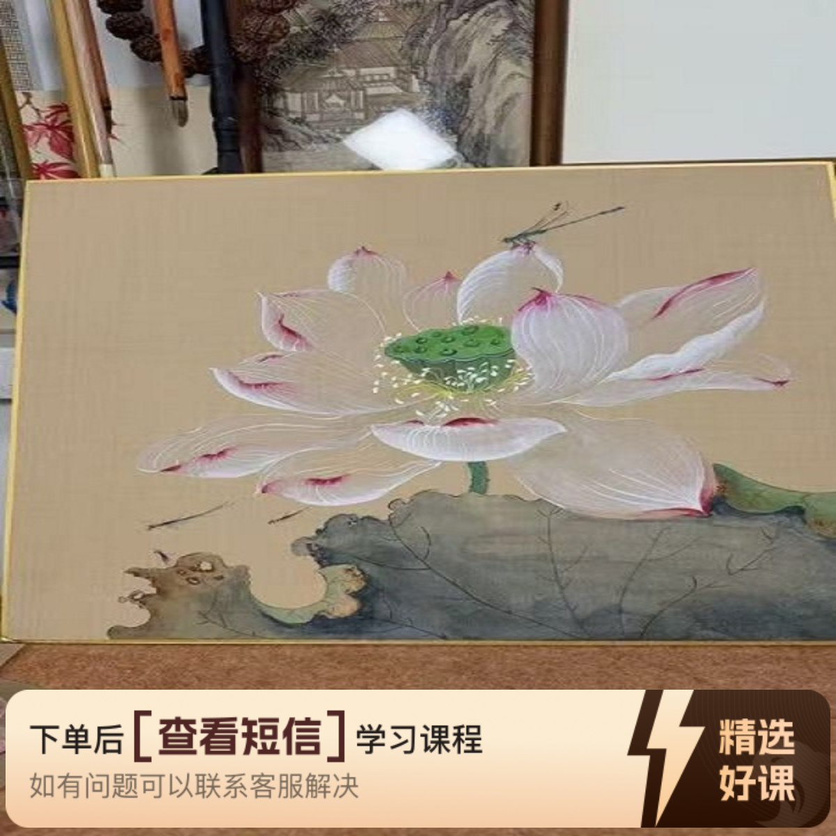 海豚知道芳芬馥郁·花卉-写生（留意短信解锁课程）