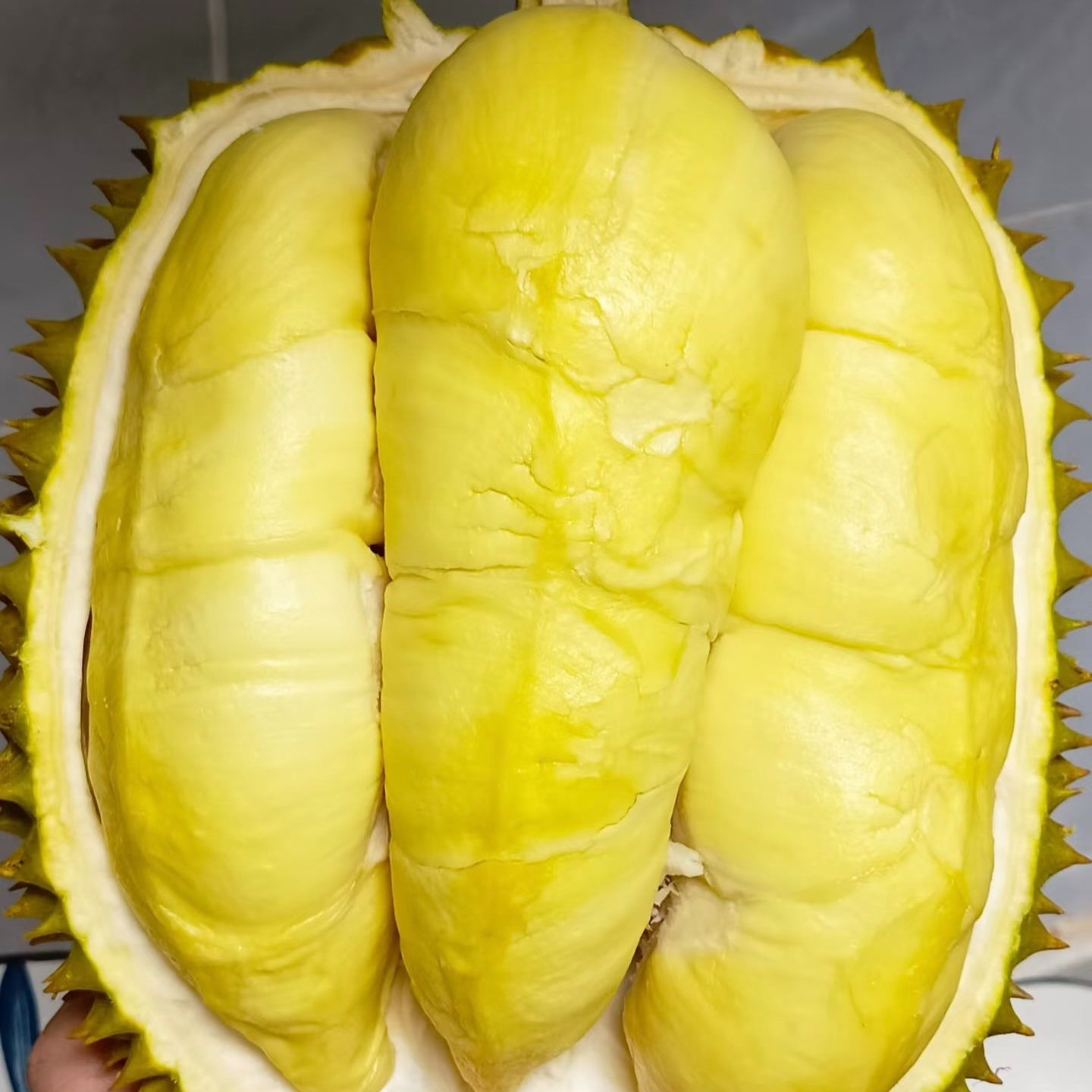 （一果一拍）泰国/越南金枕鲜榴莲/重量3斤-8斤/核小/同城送到家金枕泰国南部