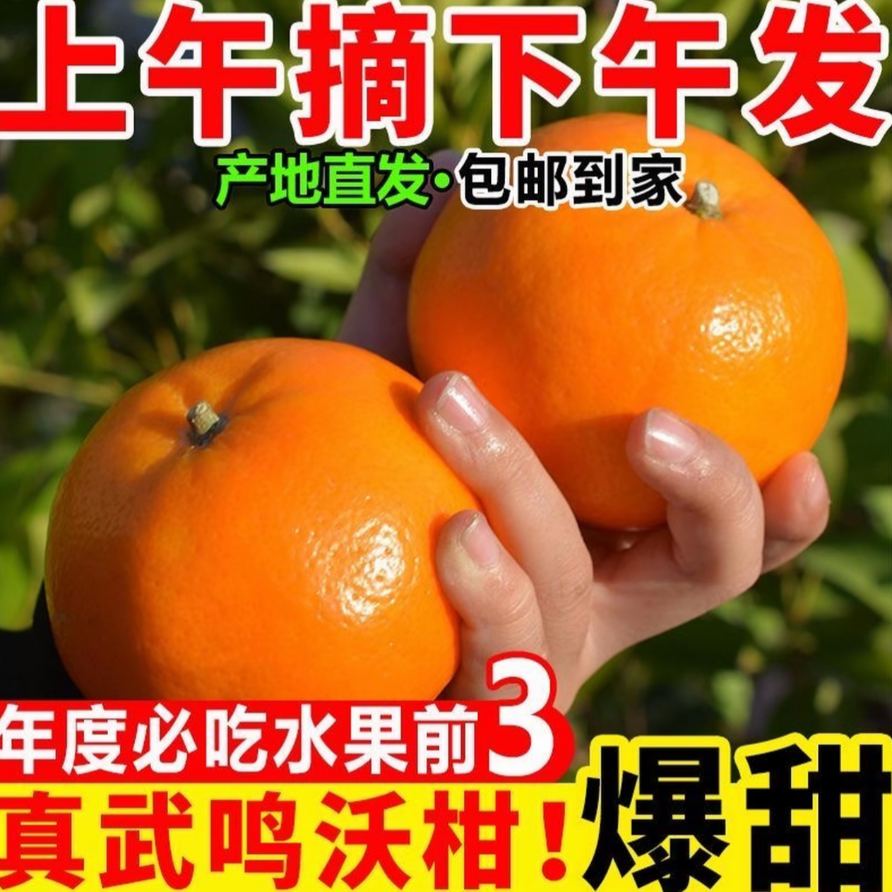 【广西武鸣沃柑】当季新鲜水果皮薄多汁香甜柑橘 xy