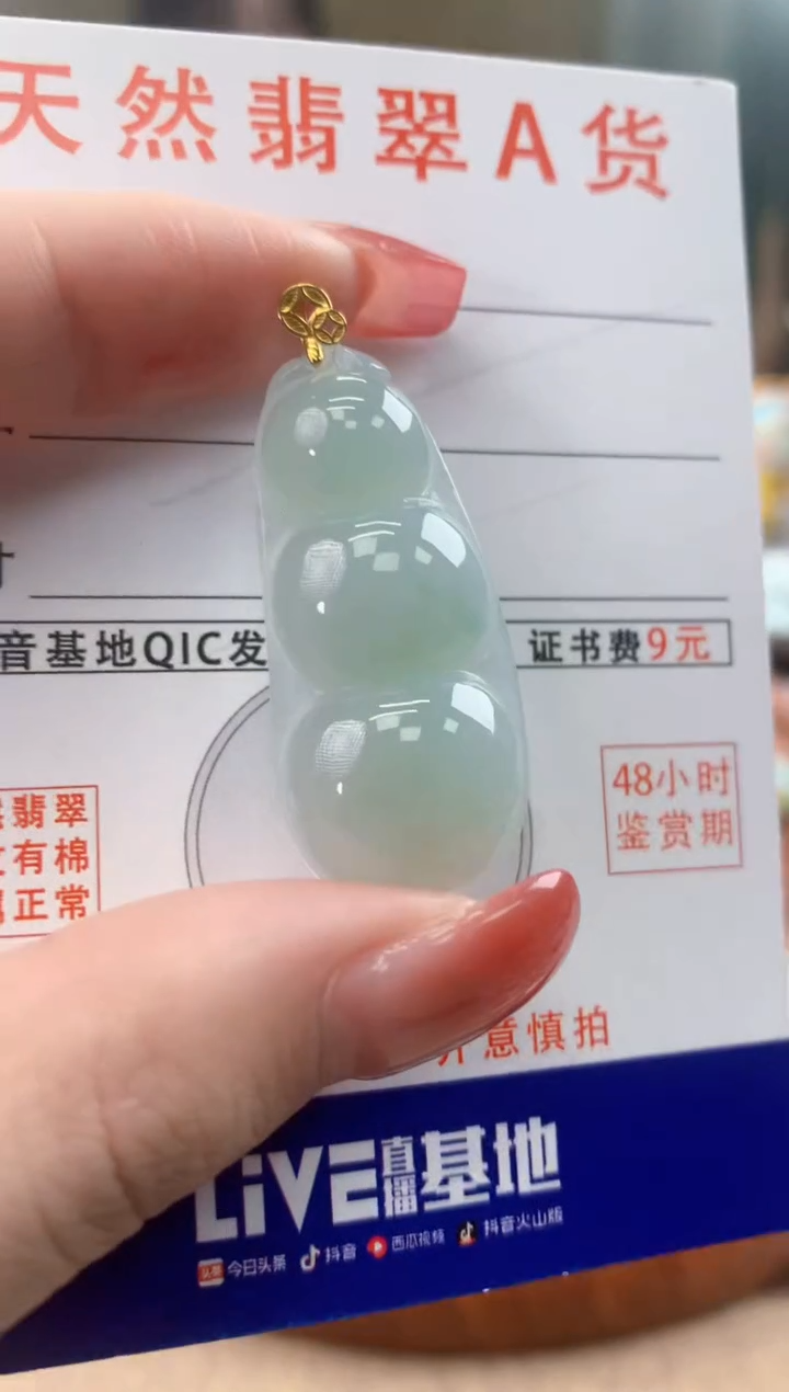 颈饰未镶嵌翡翠天然A货翡翠挂件