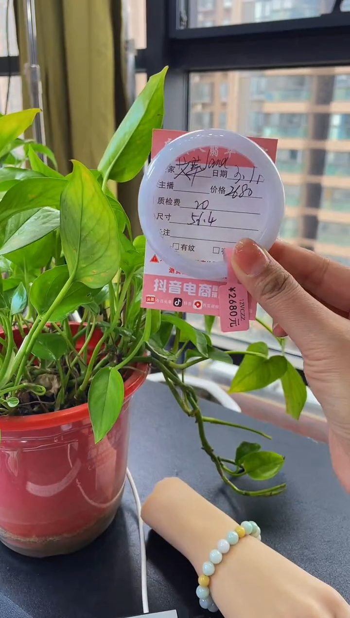 【闪购商品】翡翠手镯未镶嵌手镯