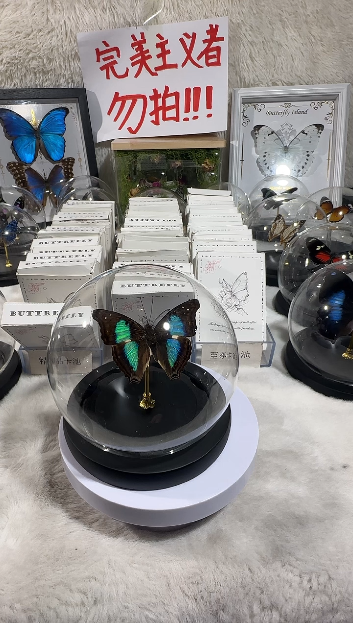 木蓝带容水晶球   