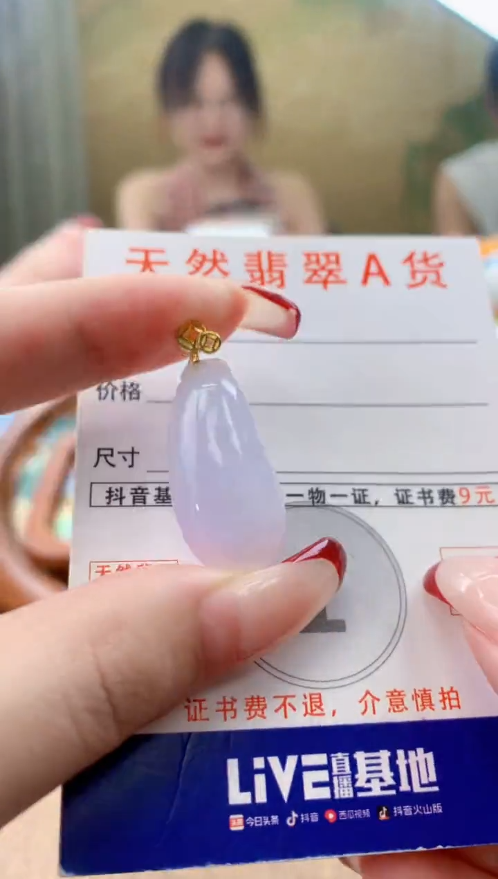 颈饰未镶嵌翡翠天然A货翡翠挂件