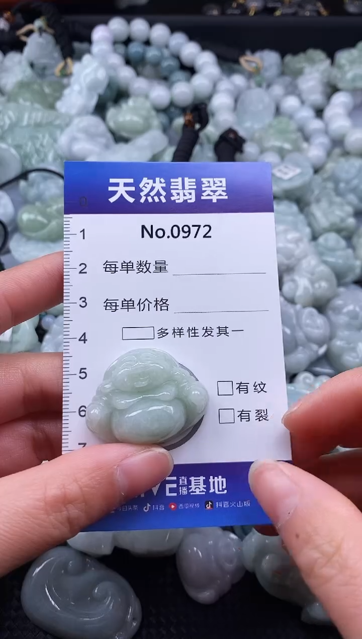 【闪购商品】翡翠颈饰未镶嵌缅甸A货翡翠0972