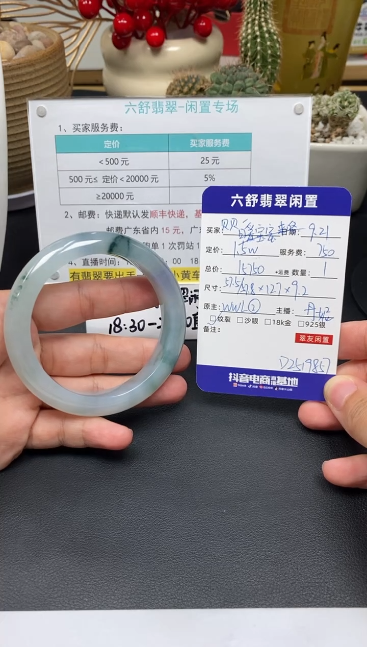 未镶嵌手镯翡翠贝*吖D2519857