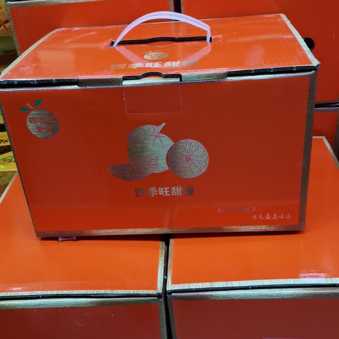 四季旺橙子 整箱  约4.8-5斤/箱