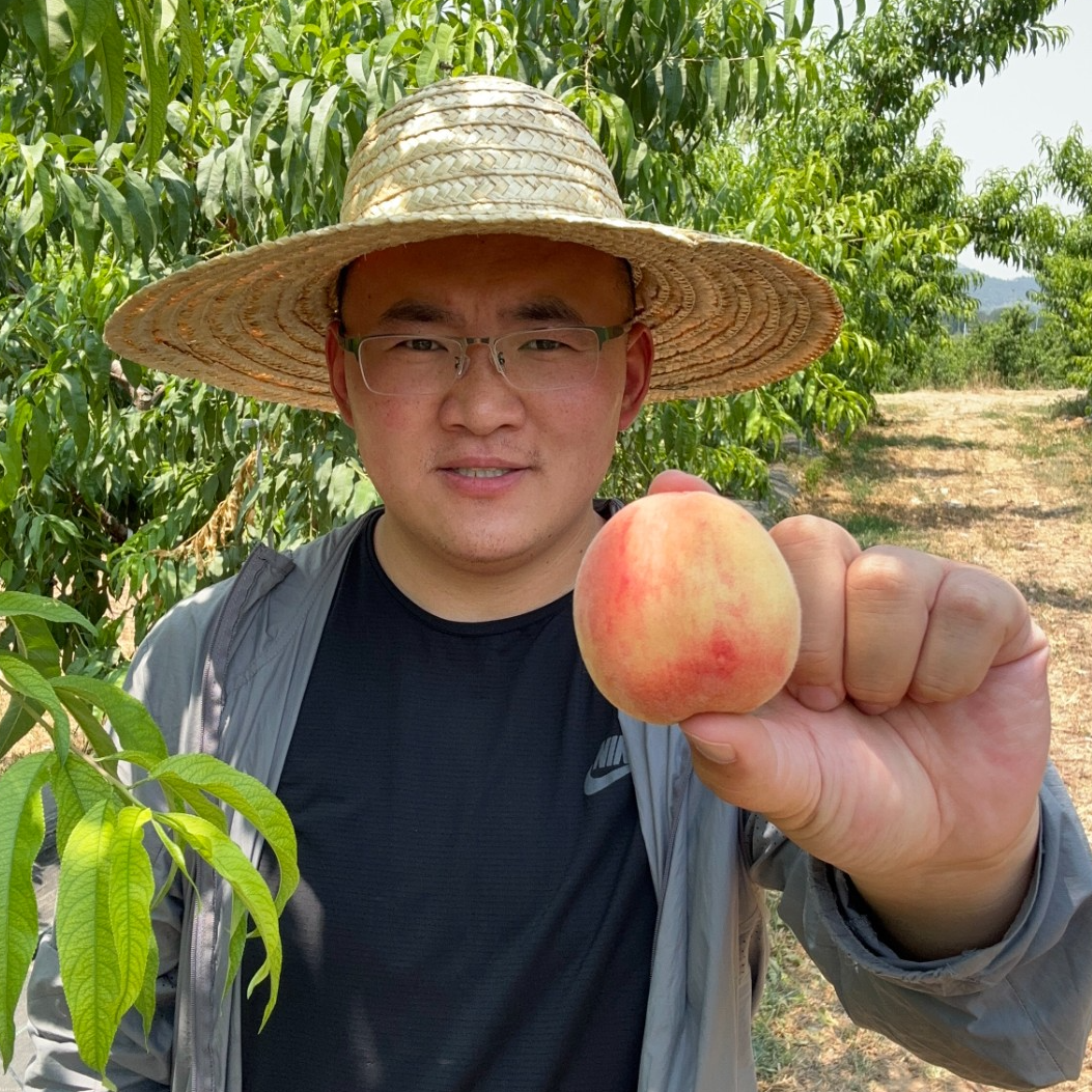 【顺丰】山东4号水蜜桃 净重3.4-4.5斤 售后时间24小时内