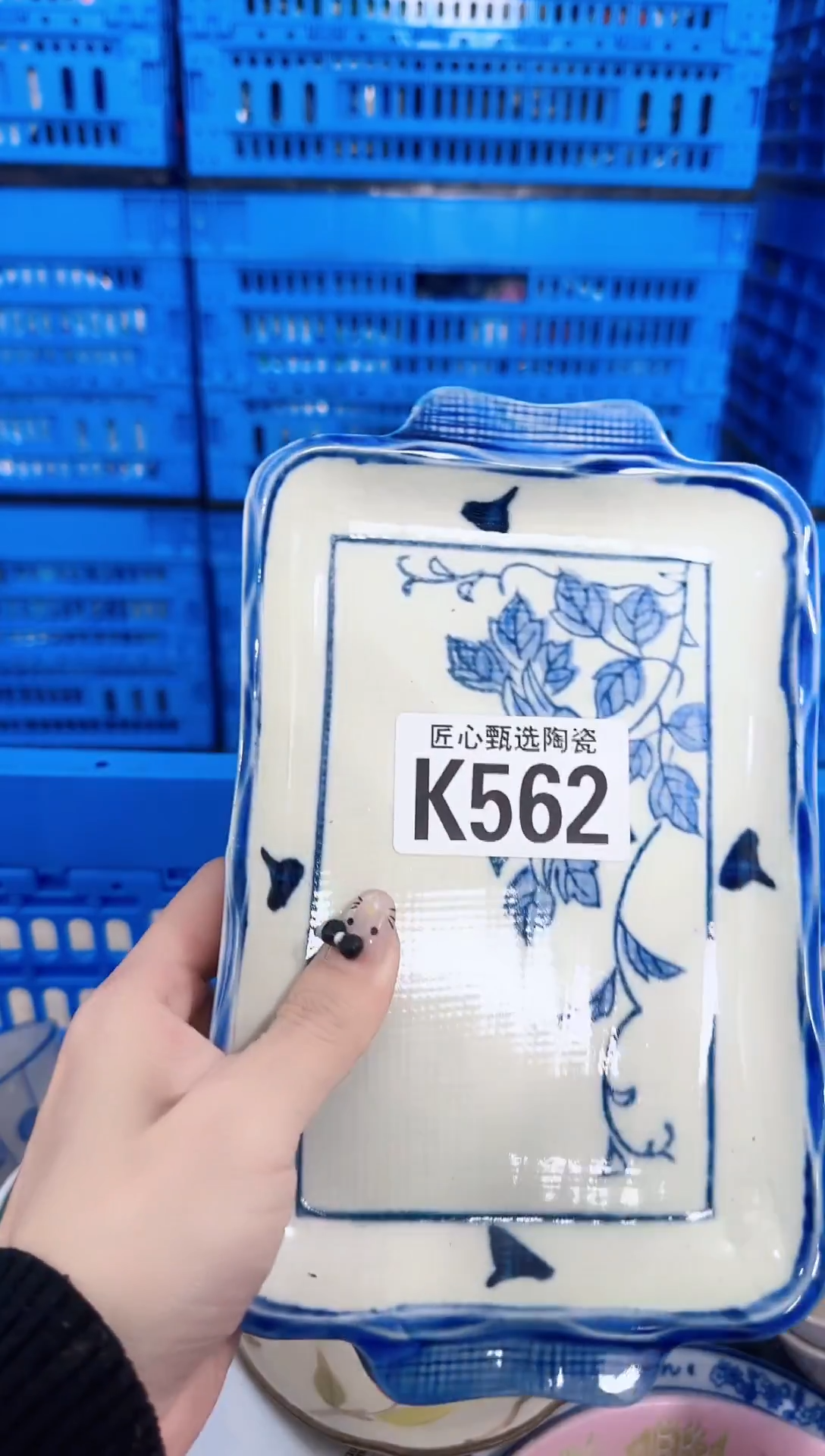 瓷片余**你       K562