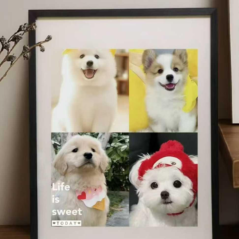 小文宠物相册[拍这个]