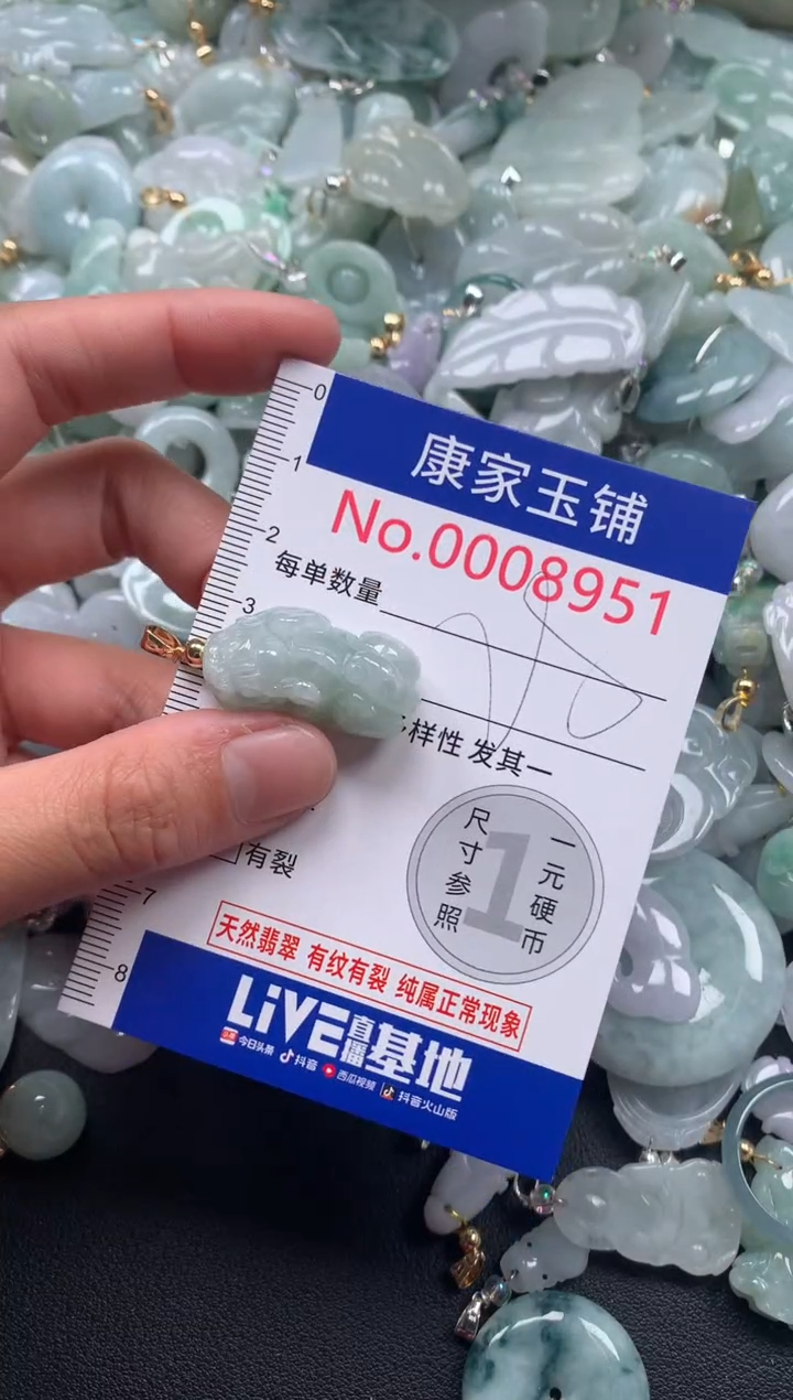 颈饰未镶嵌翡翠8951