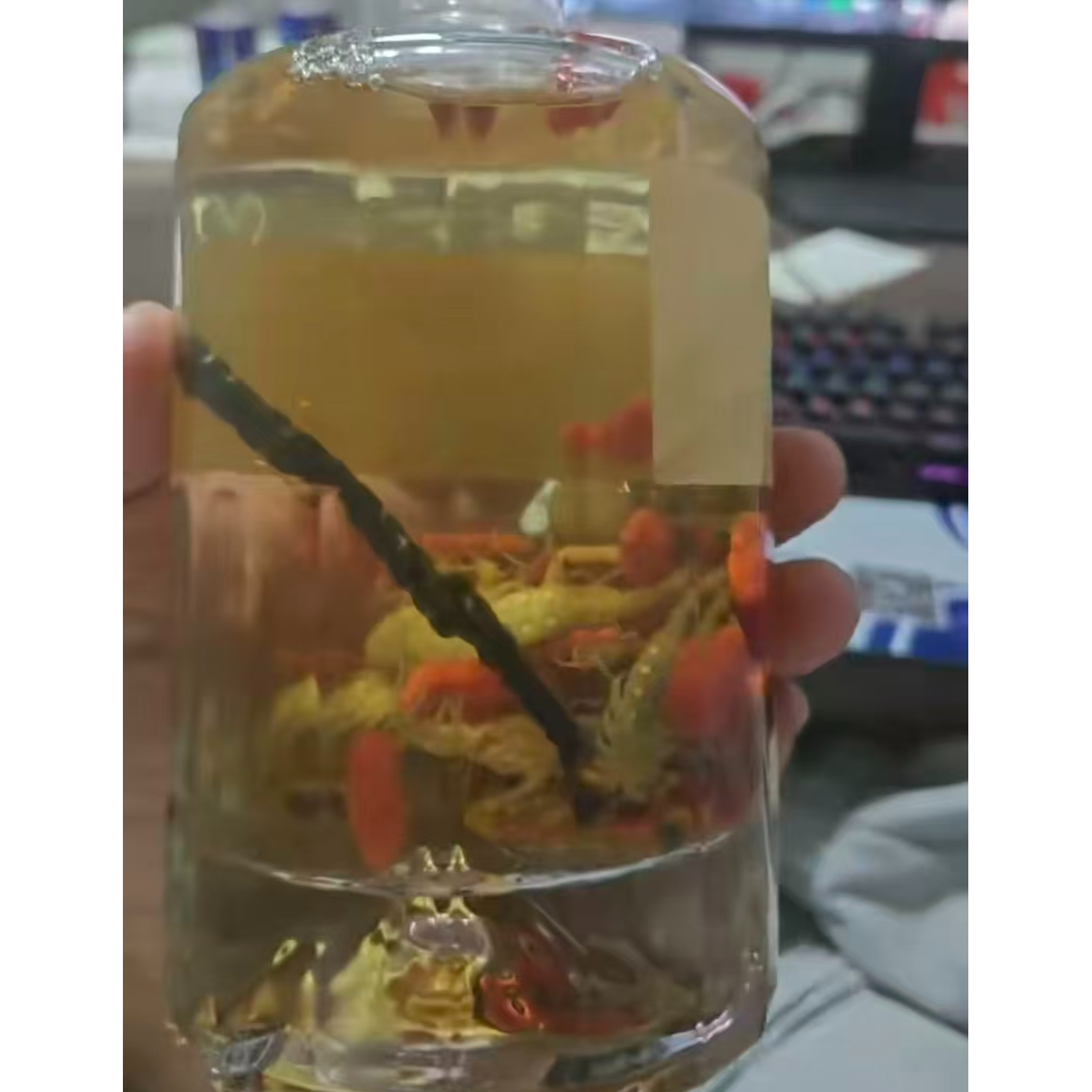 蝎子枸杞蜈蚣油炸煲汤泡8+1