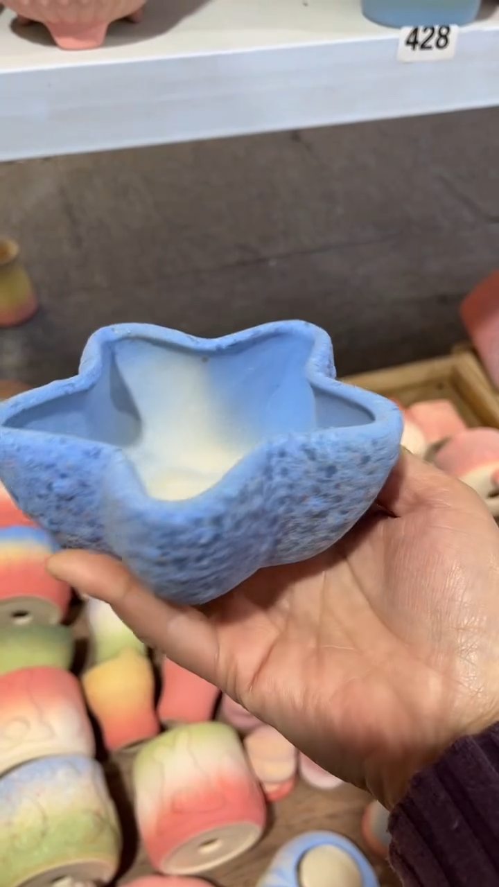 【闪购商品】陶内口 9   内高5