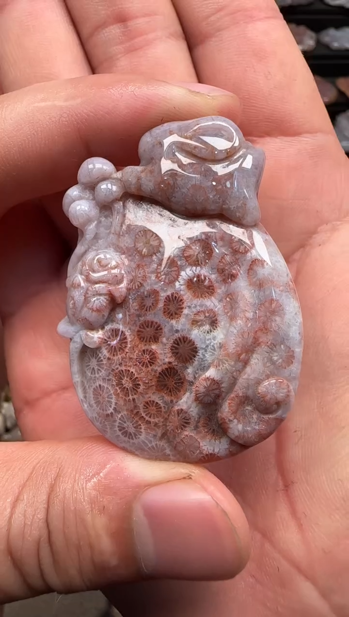 【闪购商品】硅化珊瑚（珊瑚玉）颈饰未镶嵌650