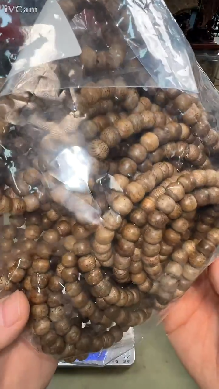 文莱软油苹果珠单圈多样性发其一